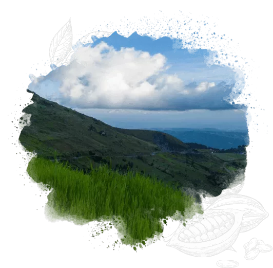 Регіон вирощування кави Guatemala Huehuetenango | Illusion.ua